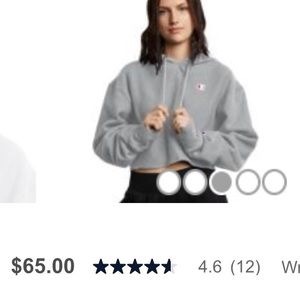 Champion cropped sweatshirt/hoodie